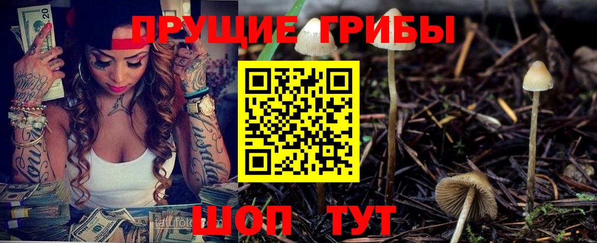 Петропавловск-Камчатский  Галлюциногенные грибы GOLDEN TEACHER  Вход с VPN 