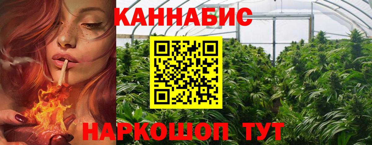 Канабис Amnesia Петропавловск-Камчатский